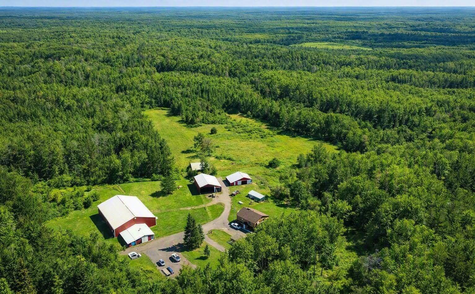7144 Bodas RD, Eveleth, MN 55734