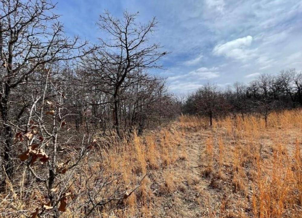 Lot 9 Toad RD, Harrah, OK 73045