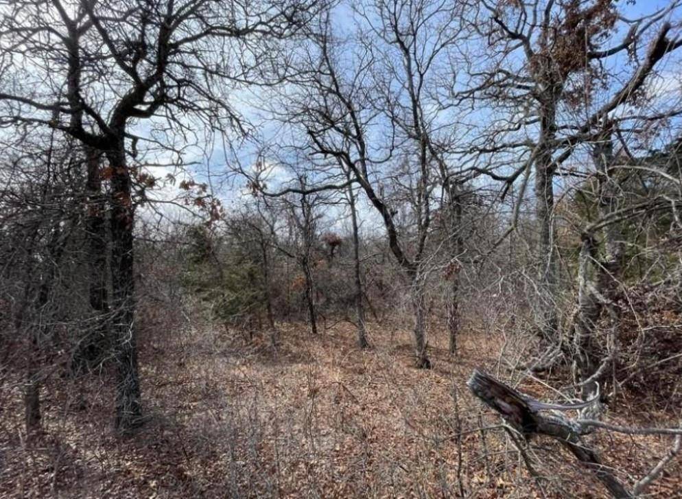 Lot 14 Toad RD, Harrah, OK 73045