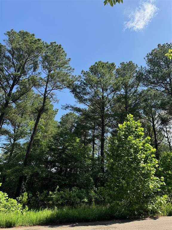 49 Blue Maple TRL, Broken Bow, OK 74728