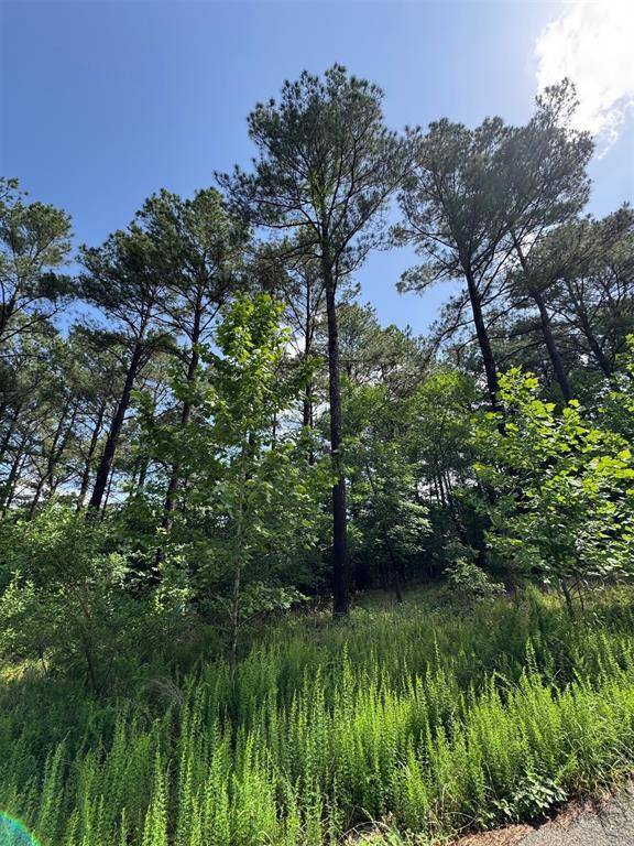 87 Blue Maple TRL, Broken Bow, OK 74728