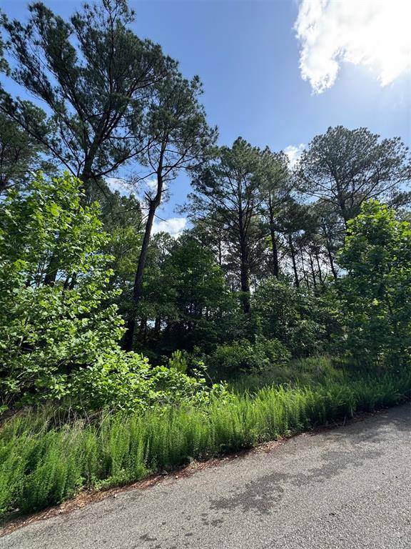 87 Blue Maple TRL, Broken Bow, OK 74728