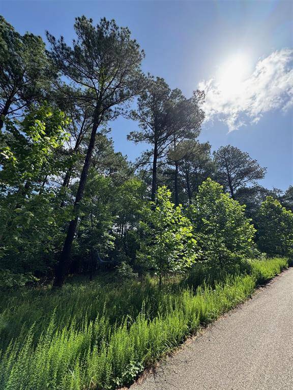 87 Blue Maple TRL, Broken Bow, OK 74728