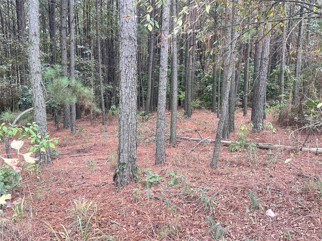 552 Timbuktu TRL, Broken Bow, OK 74728