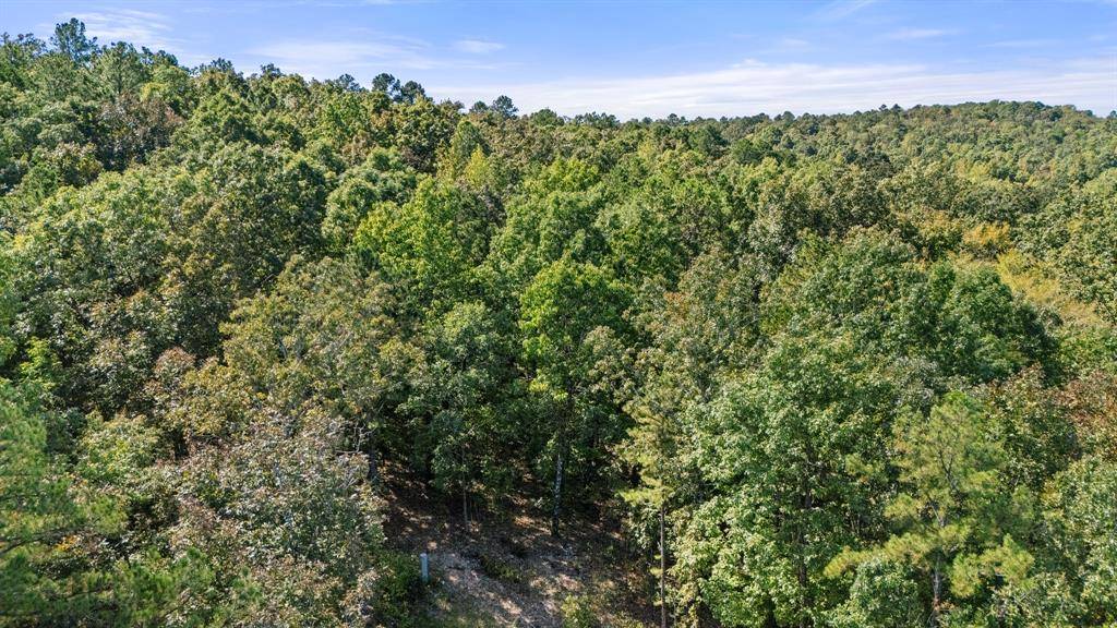 47 AJ Cedar TRL, Broken Bow, OK 74728
