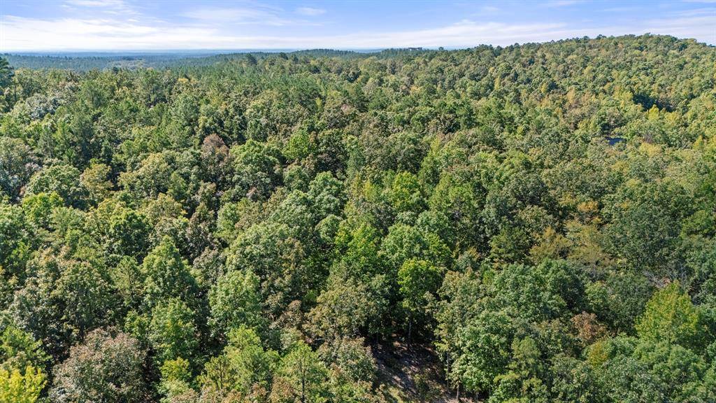 47 AJ Cedar TRL, Broken Bow, OK 74728