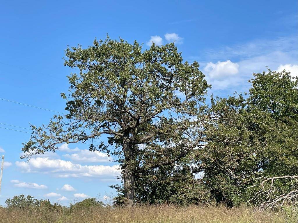 5402 Oak Hill Ranch RD, Noble, OK 73068