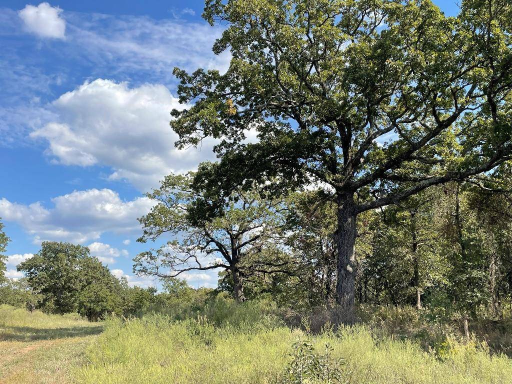 5402 Oak Hill Ranch RD, Noble, OK 73068