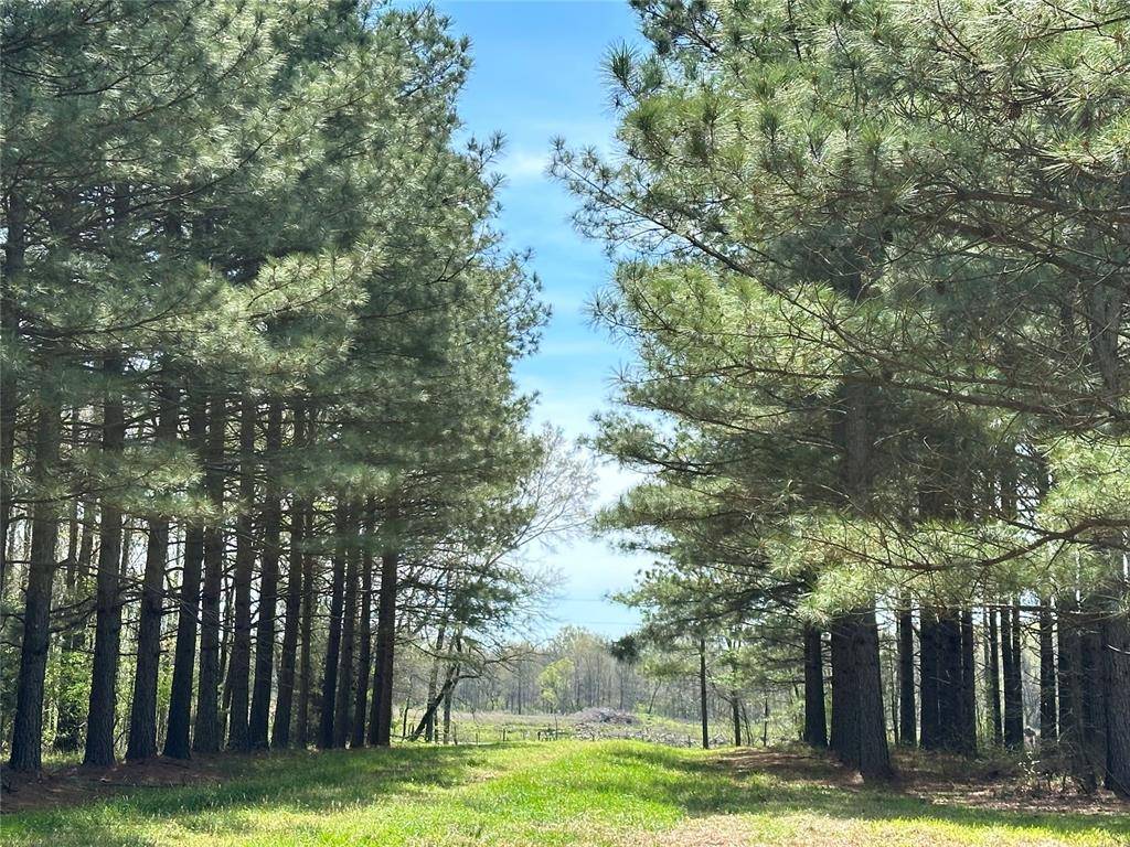 2621 Goodwater RD, Idabel, OK 74745