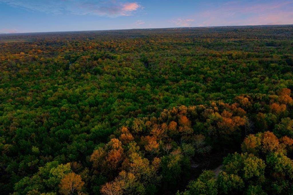 River Bluff RD, Idabel, OK 74745