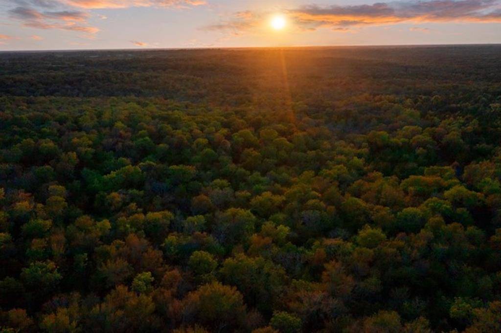 River Bluff RD, Idabel, OK 74745