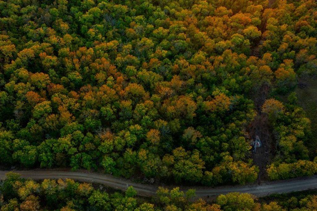 River Bluff RD, Idabel, OK 74745