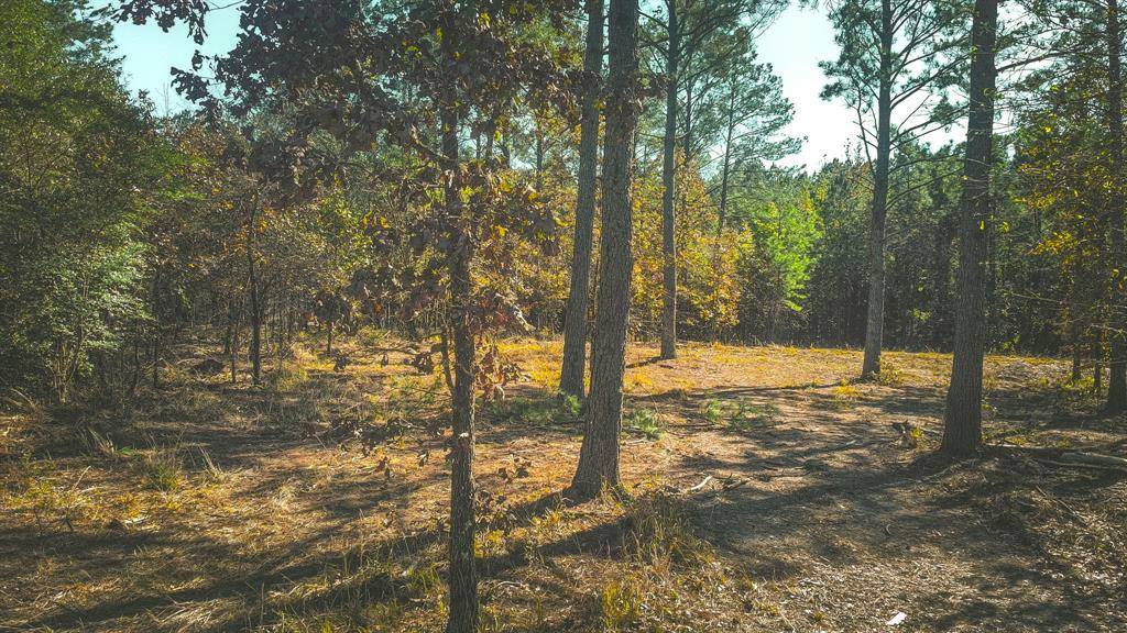 956 Cress RD, Broken Bow, OK 74728