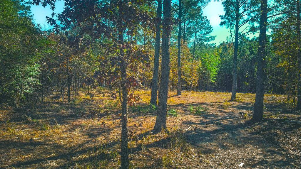 956 Cress RD, Broken Bow, OK 74728