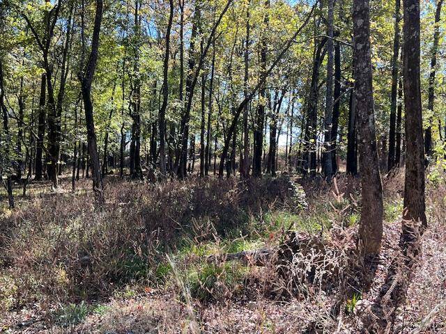 176 Deer Valley CIR, Broken Bow, OK 74728