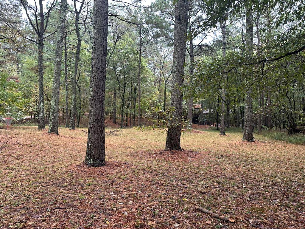 Lot 27, Hochatown, OK 74728