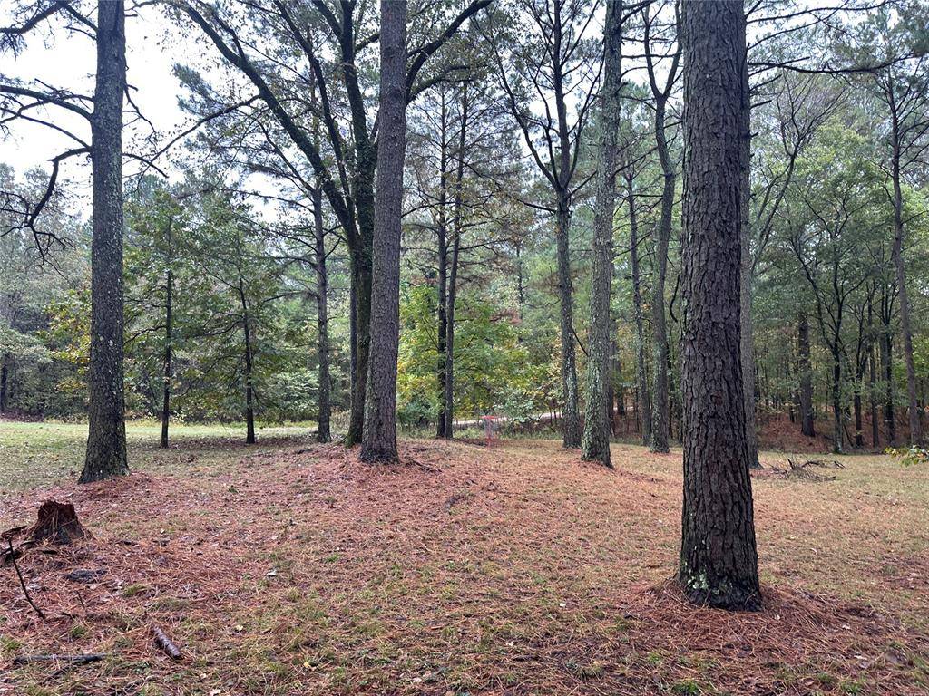 Lot 27, Hochatown, OK 74728