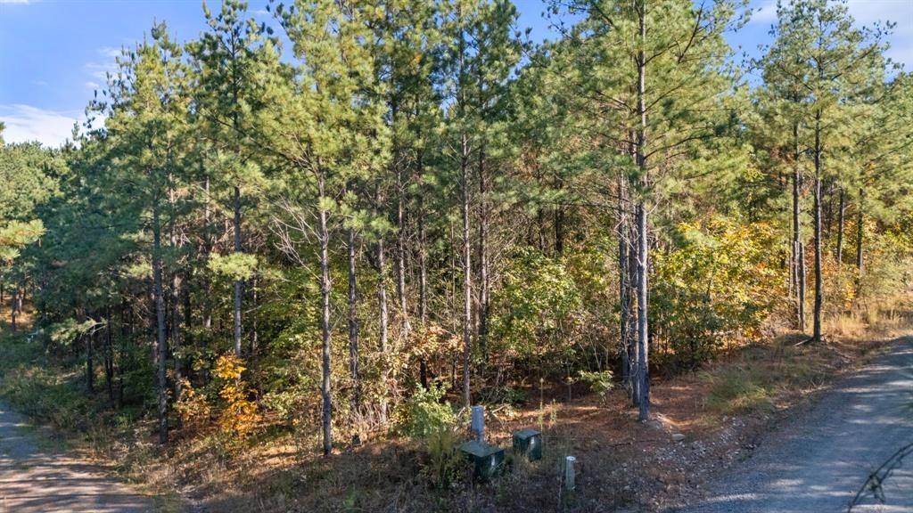 24 Cedar Tree TRL, Broken Bow, OK 74728