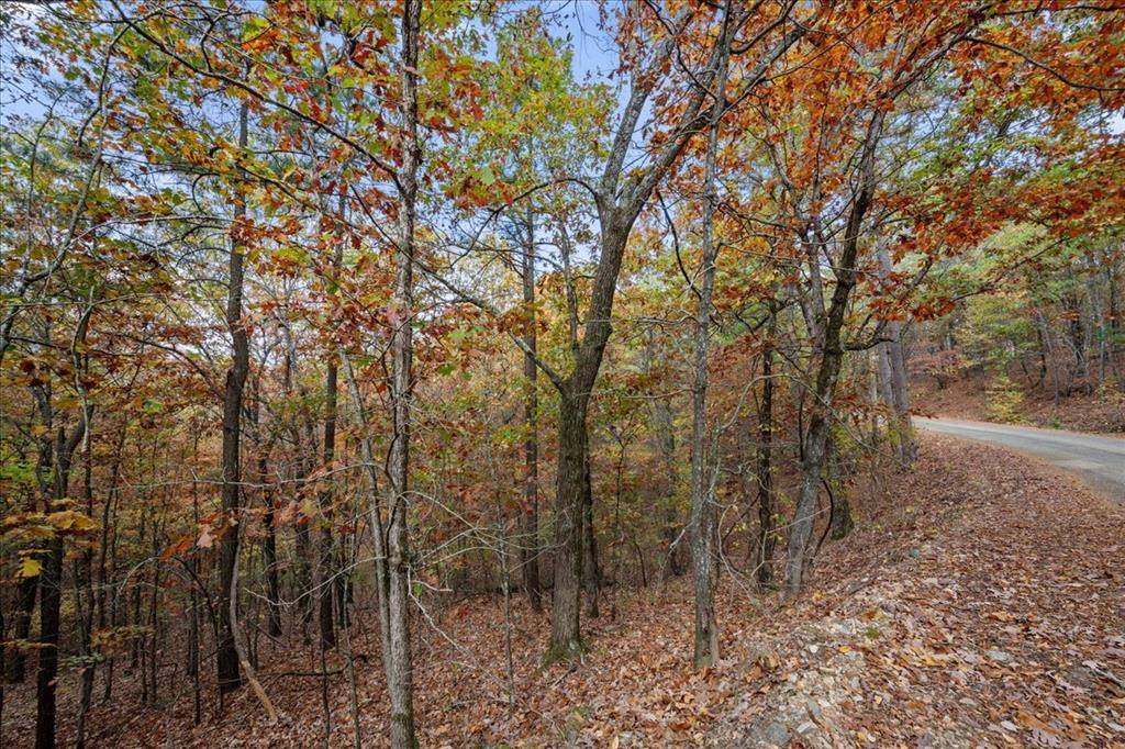 Southern Hills CIR, Broken Bow, OK 74728