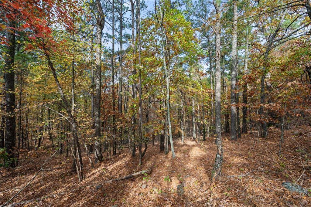 Southern Hills CIR, Broken Bow, OK 74728