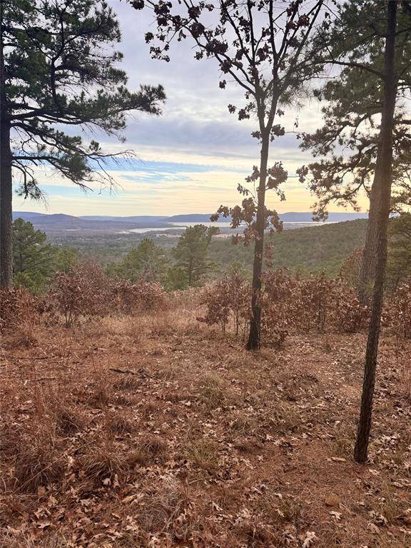 4 Timber RDG, Tuskahoma, OK 74574