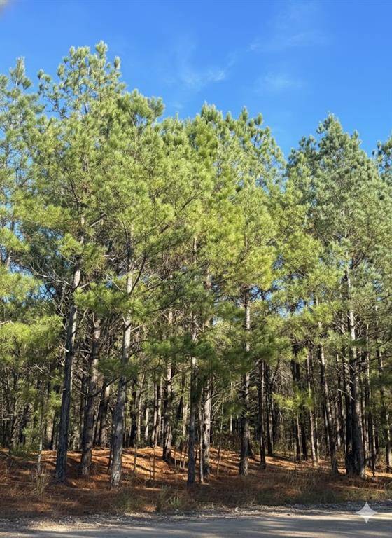 52 Overlook Hill Trail TRL, Broken Bow, OK 74728