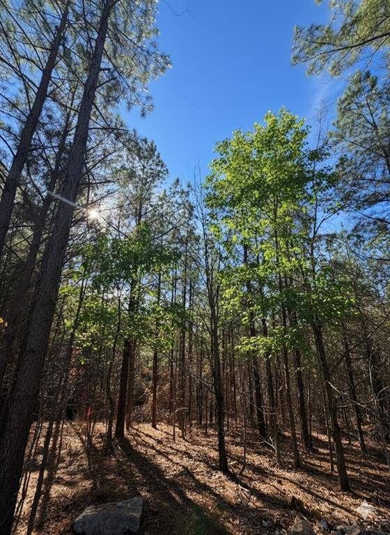 1245 Sugarberry Trail TRL, Broken Bow, OK 74728