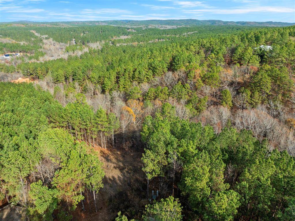 164 Timber Holler TRL #Lot 504, Broken Bow, OK 74728