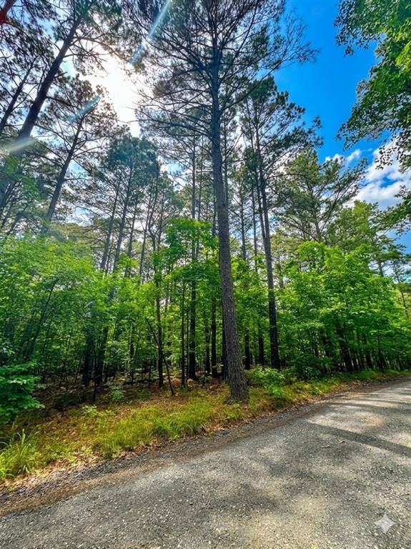 26 Mangrove RD, Broken Bow, OK 74728