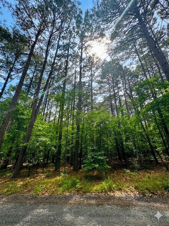 26 Mangrove RD, Broken Bow, OK 74728