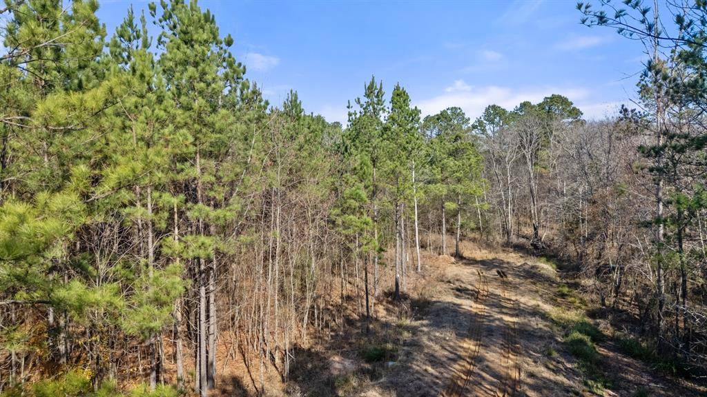 323 Marked Pine LN, Broken Bow, OK 74728