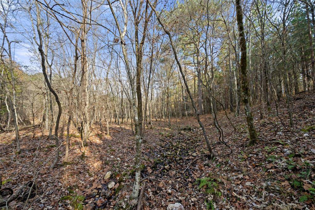 317 Marked Pine LN, Broken Bow, OK 74728