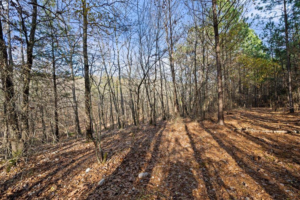 317 Marked Pine LN, Broken Bow, OK 74728