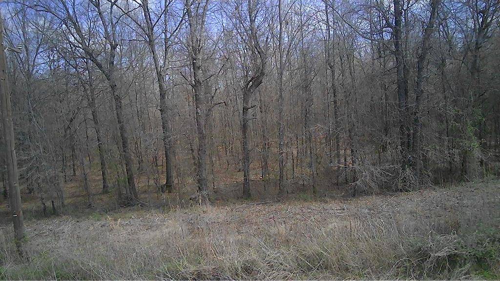0 Shults RD, Idabel, OK 74745