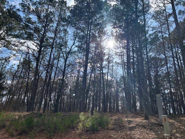 89 Middle Meddock LN, Broken Bow, OK 74728