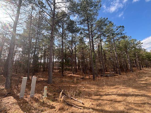 15 Middle Meddock LN, Broken Bow, OK 74728
