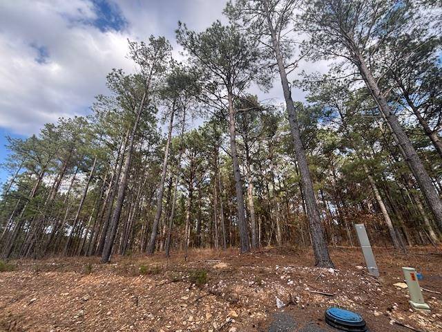 106 Turkey Roost TRL, Broken Bow, OK 74728