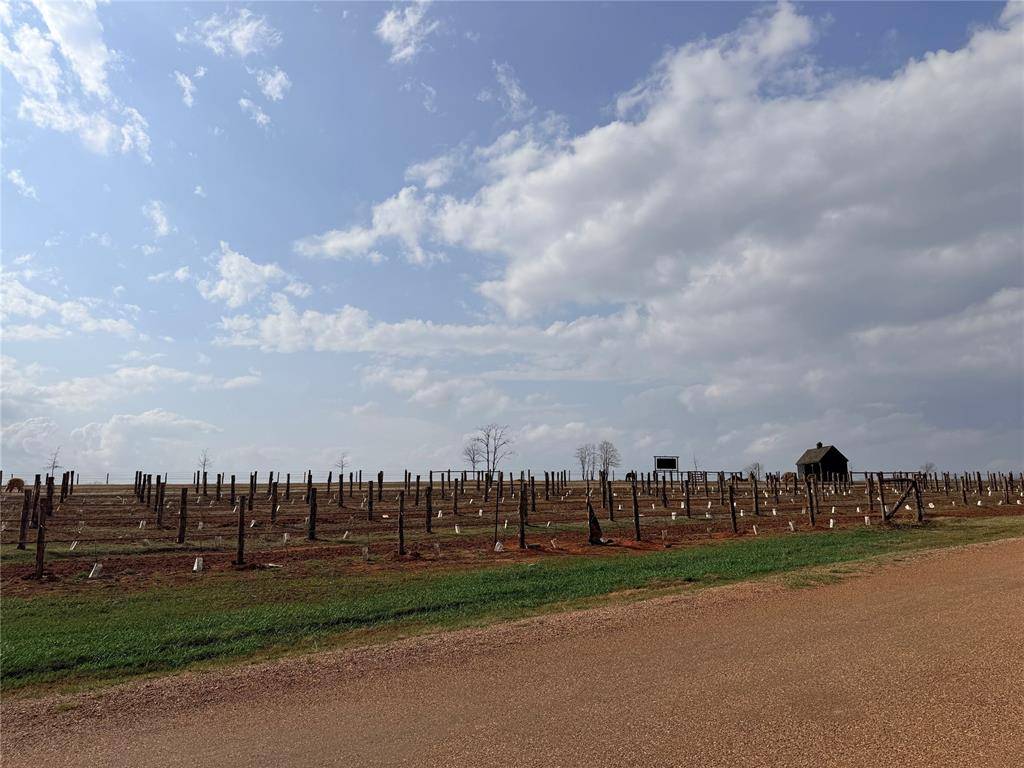 Vineyard Meadow RD, Norman, OK 73072