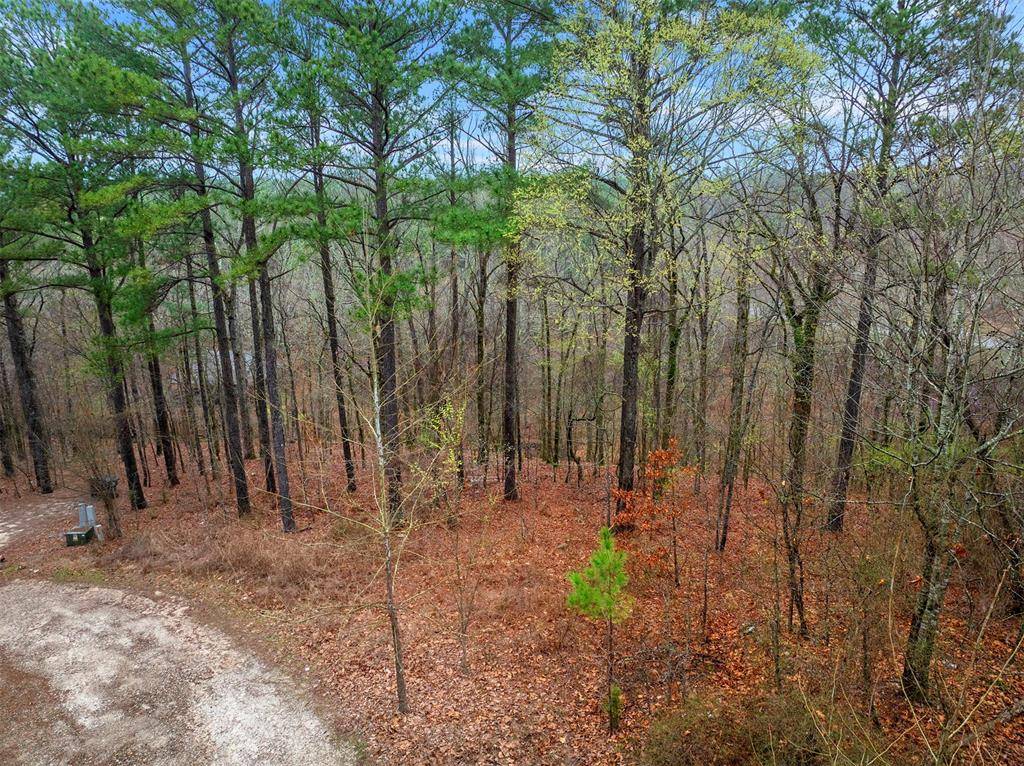 685 Long Pine TRL, Broken Bow, OK 74728