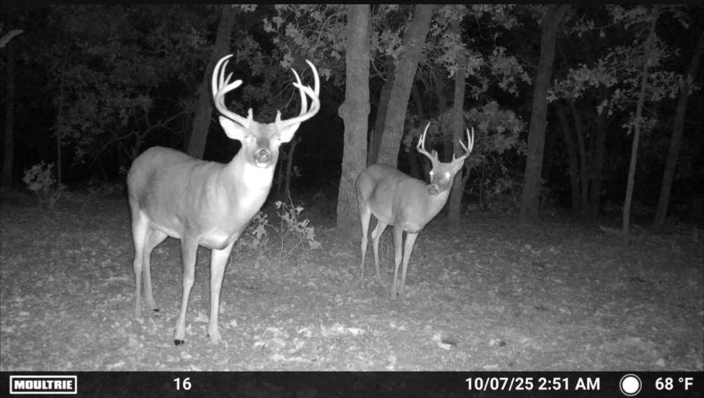 HWY 76, Elmore City, OK 73433