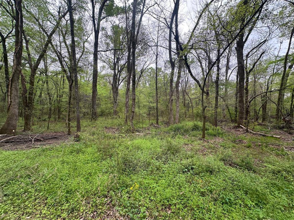 226 Butler Pool RD, Idabel, OK 74745