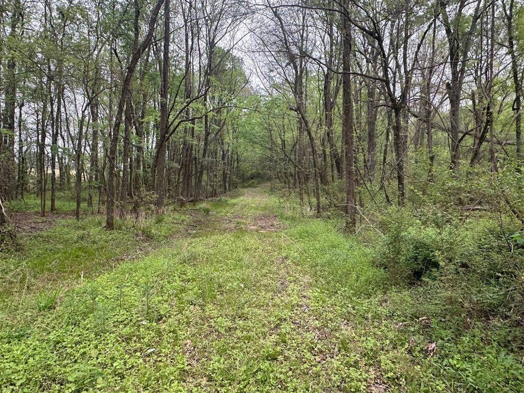 226 Butler Pool RD, Idabel, OK 74745