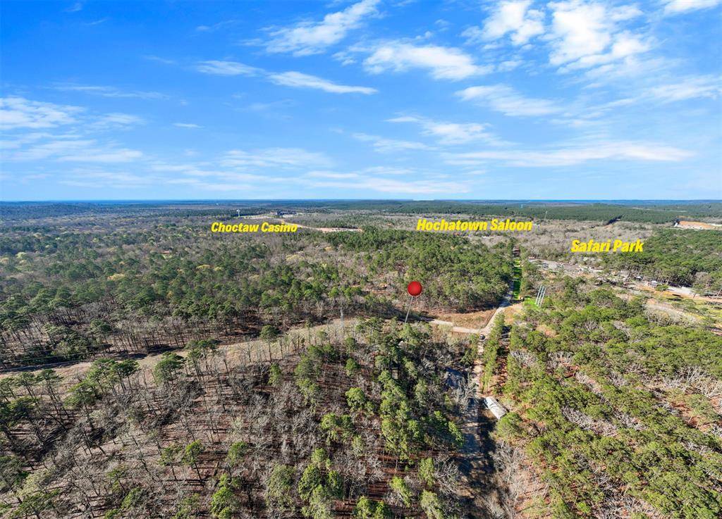 1 Johnboat LN, Broken Bow, OK 74728