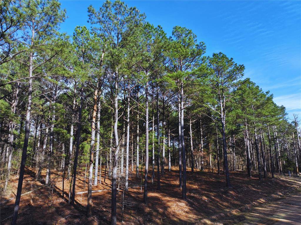 152 Turkey Roost TRL, Broken Bow, OK 74728