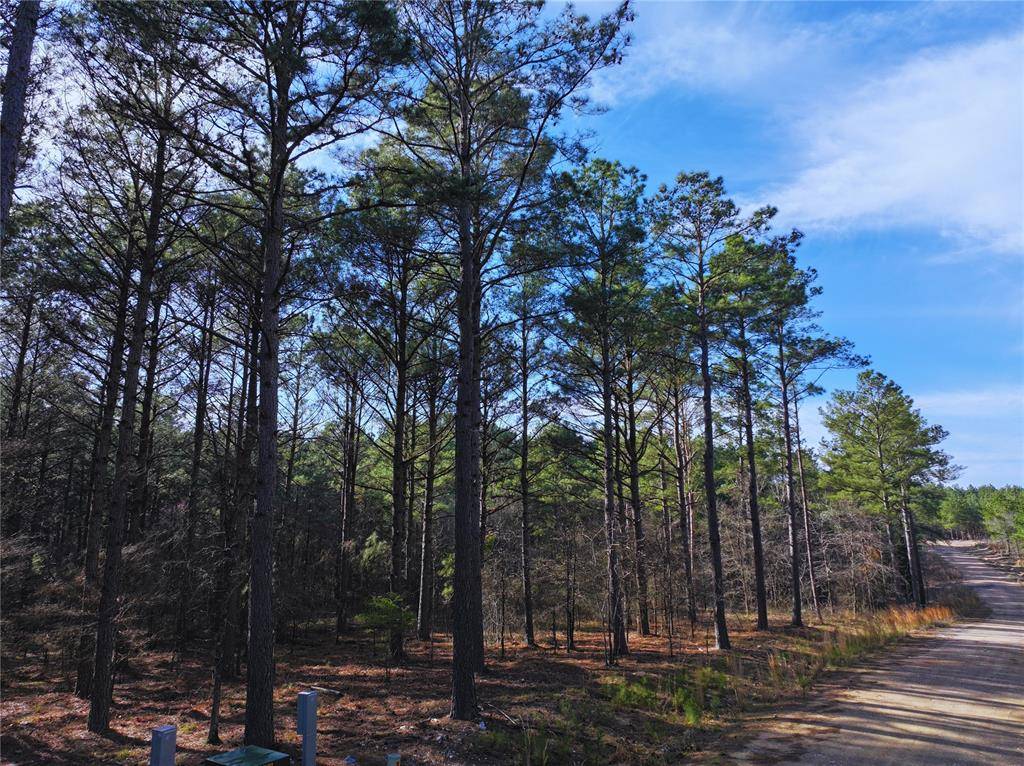 152 Turkey Roost TRL, Broken Bow, OK 74728