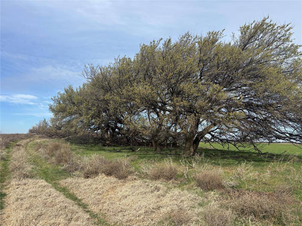 Country Road 450, Aline, OK 73716