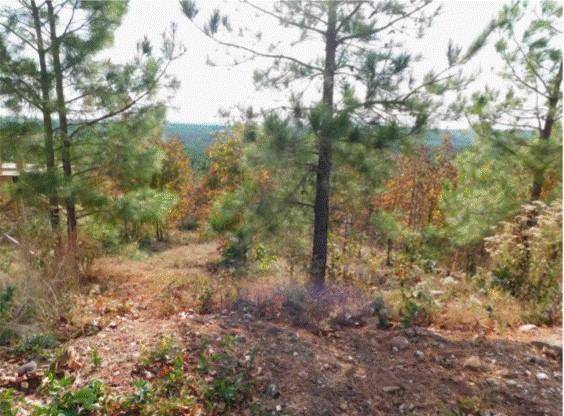 764 Kaisley Blue Eye WAY, Broken Bow, OK 74728