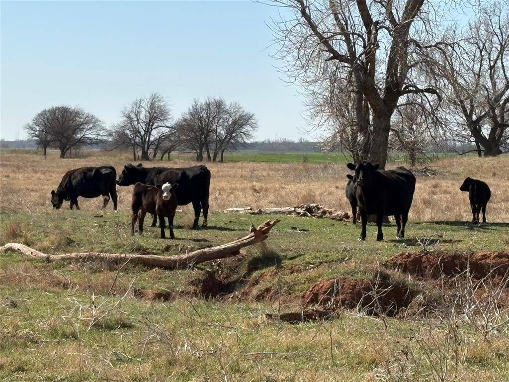 100 E County Road 600 RD, Marshall, OK 73056