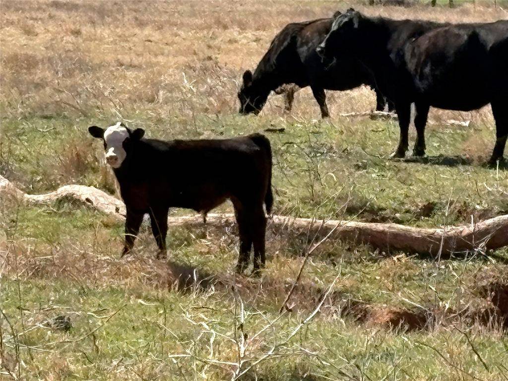 100 E County Road 600 RD, Marshall, OK 73056