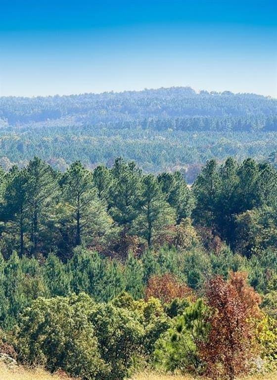 187 Sliding Hill TRL, Broken Bow, OK 74728